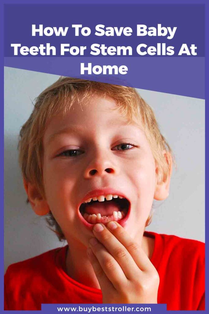 How To Save Baby Teeth For Stem Cells At Home
