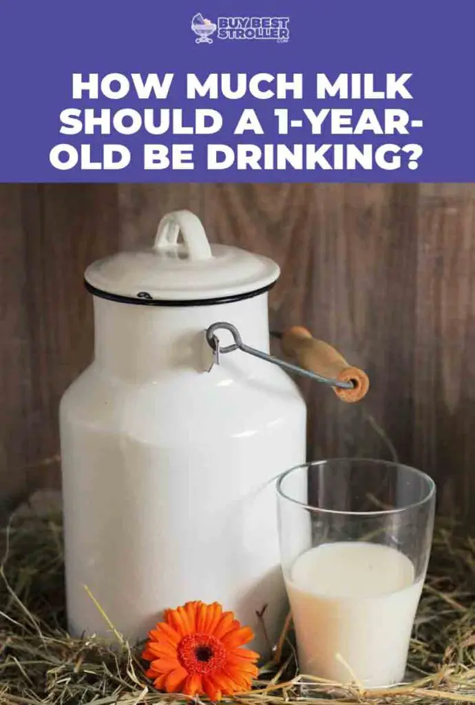 How Much Milk Should A 1 Year Old Be Drinking