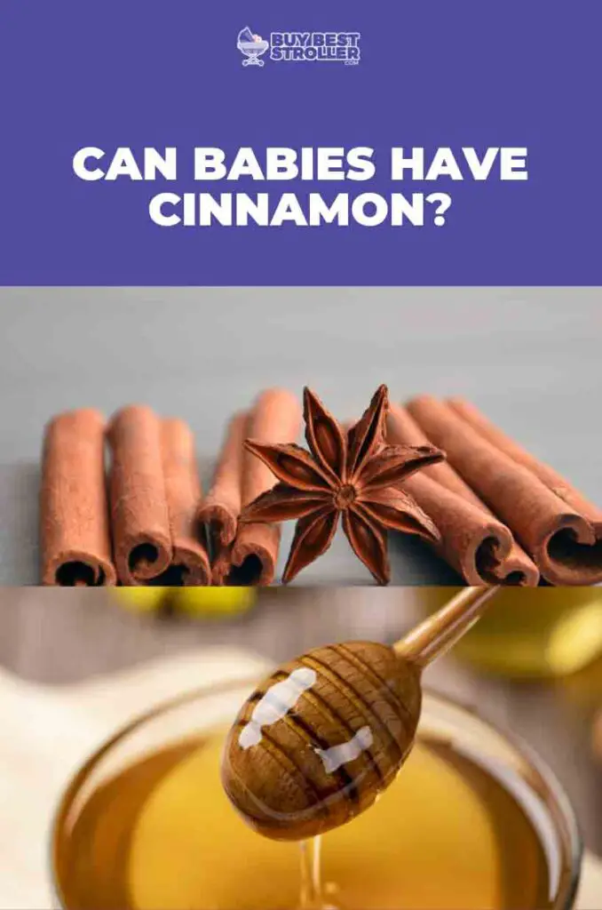 can babies have cinnamon