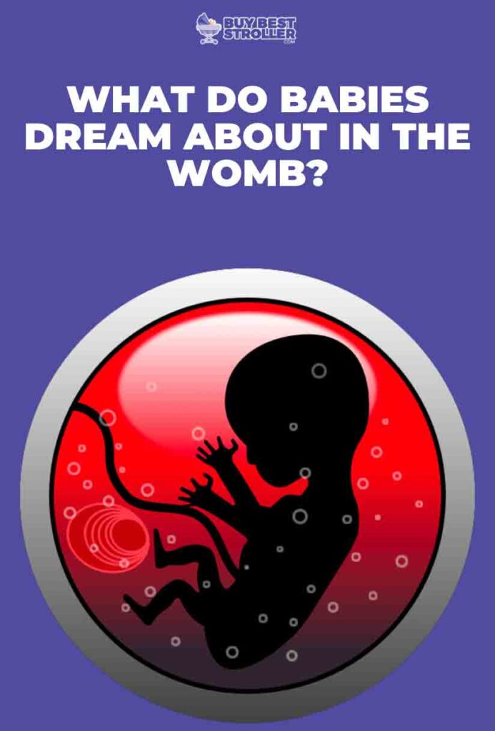 What Do Babies Dream About In The Womb?