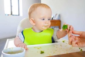 Expert Opinion: Can Babies Eat Pate at 6 Months?